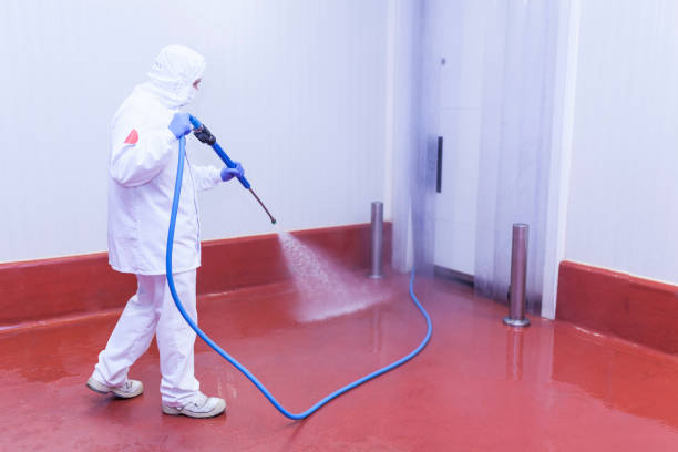 Best Sidewalk and Walkway Cleaning  in Lisle, IL