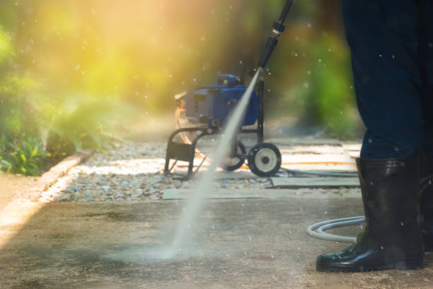 Best Soft Washing  in Lisle, IL
